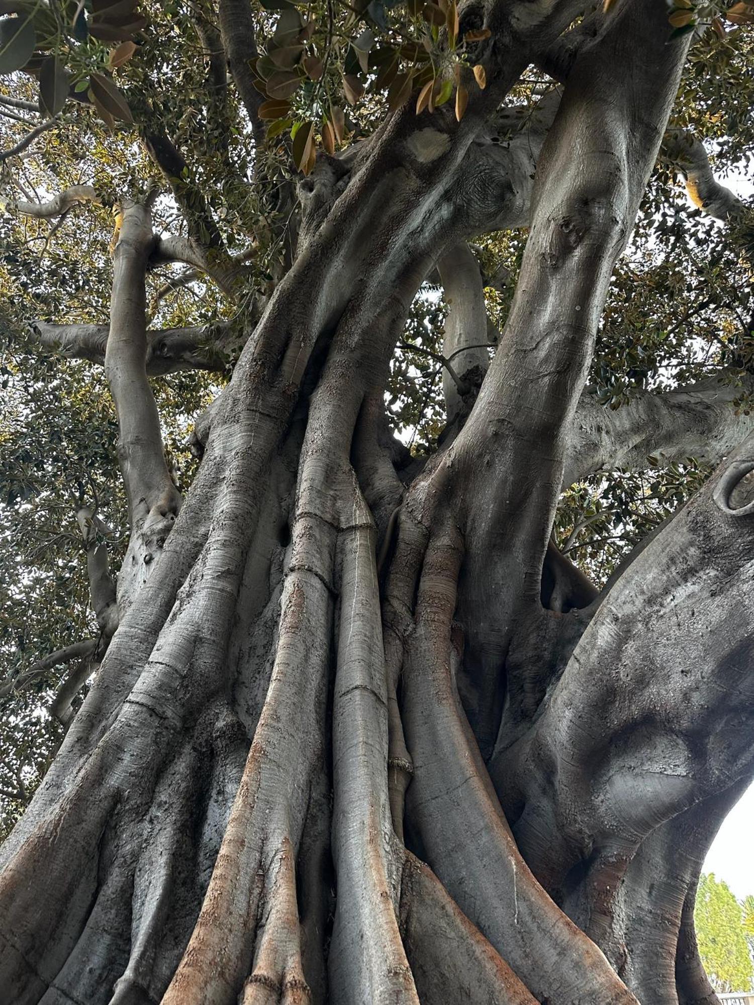 Palacete De La Alameda - Adults Only- カディス エクステリア 写真